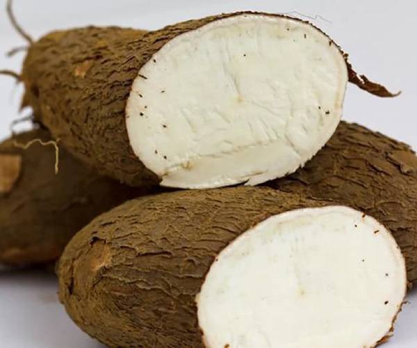 Yuca